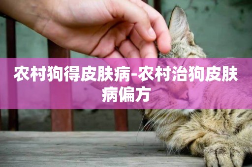 農村狗得皮膚病-農村治狗皮膚病偏方