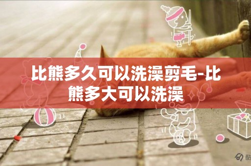 比熊多久可以洗澡剪毛-比熊多大可以洗澡