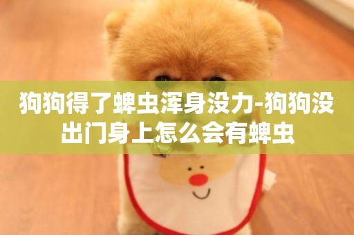 狗狗得了蜱蟲渾身沒力-狗狗沒出門身上怎么會有蜱蟲