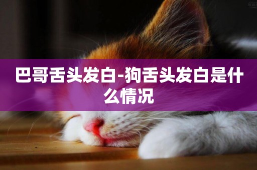 巴哥舌頭發白-狗舌頭發白是什么情況
