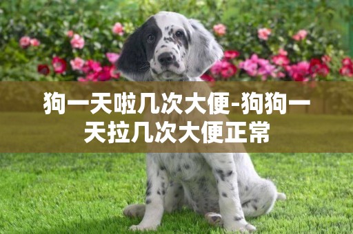 狗一天啦幾次大便-狗狗一天拉幾次大便正常