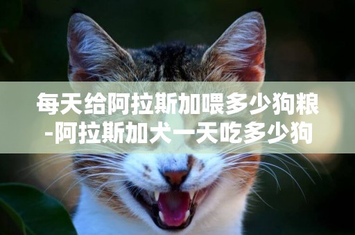 每天給阿拉斯加喂多少狗糧-阿拉斯加犬一天吃多少狗糧合適