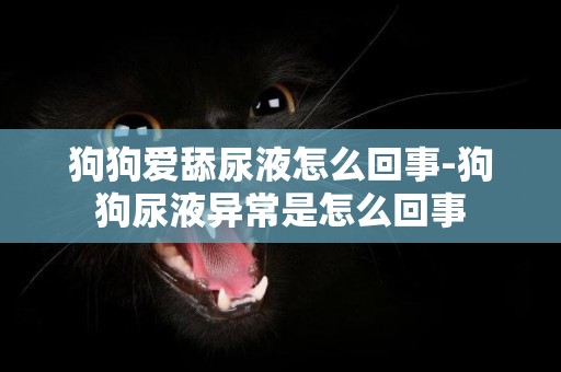 狗狗愛舔尿液怎么回事-狗狗尿液異常是怎么回事