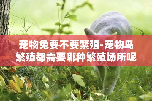 寵物兔要不要繁殖-寵物鳥繁殖都需要哪種繁殖場所呢