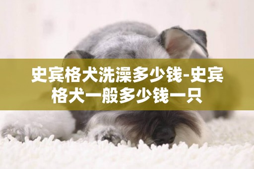 史賓格犬洗澡多少錢-史賓格犬一般多少錢一只