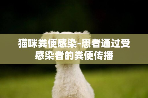 貓咪糞便感染-患者通過受感染者的糞便傳播