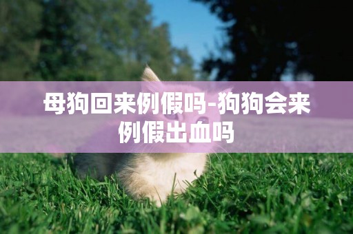 母狗回來例假嗎-狗狗會來例假出血嗎
