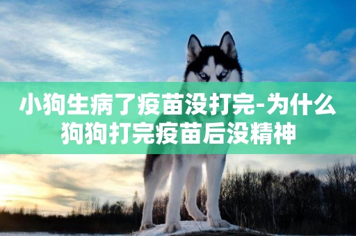 小狗生病了疫苗沒打完-為什么狗狗打完疫苗后沒精神
