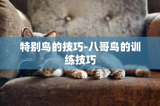 特別鳥的技巧-八哥鳥的訓練技巧