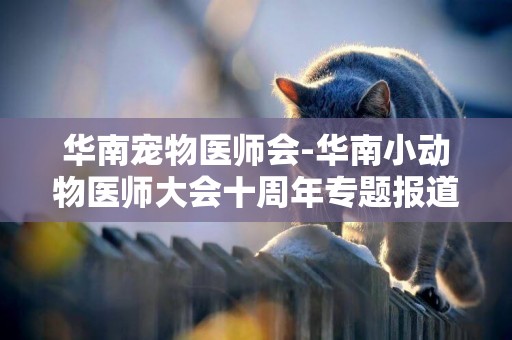 華南寵物醫師會-華南小動物醫師大會十周年專題報道