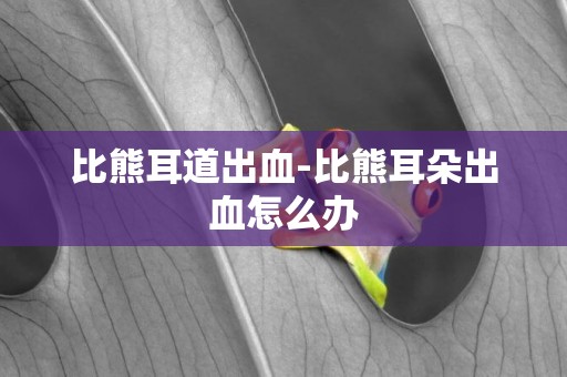比熊耳道出血-比熊耳朵出血怎么辦