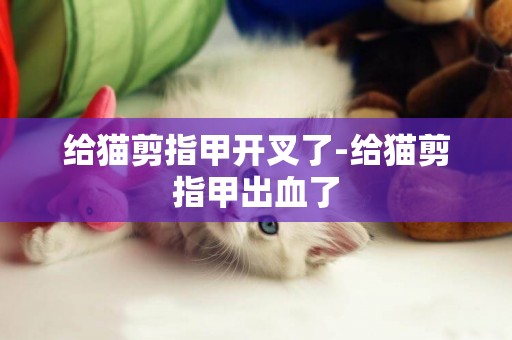 給貓剪指甲開叉了-給貓剪指甲出血了