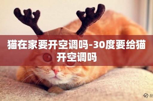 貓在家要開空調嗎-30度要給貓開空調嗎