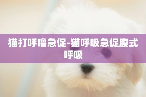 貓打呼嚕急促-貓呼吸急促腹式呼吸