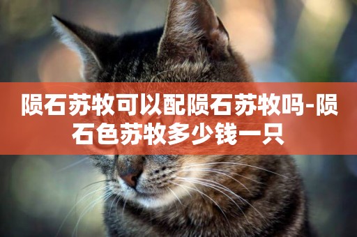 隕石蘇牧可以配隕石蘇牧嗎-隕石色蘇牧多少錢一只
