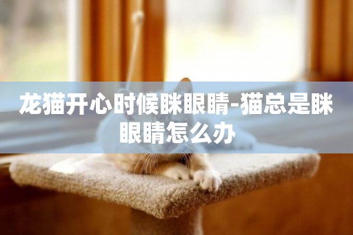龍貓開心時候瞇眼睛-貓總是瞇眼睛怎么辦