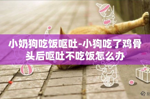 小奶狗吃飯嘔吐-小狗吃了雞骨頭后嘔吐不吃飯怎么辦