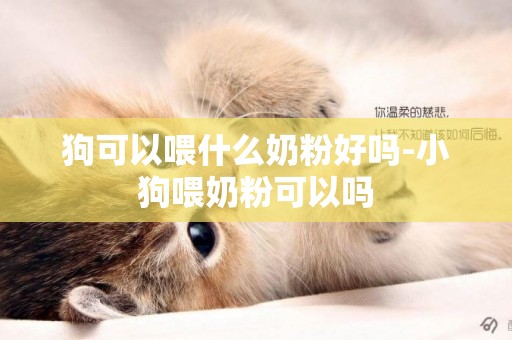 狗可以喂什么奶粉好嗎-小狗喂奶粉可以嗎