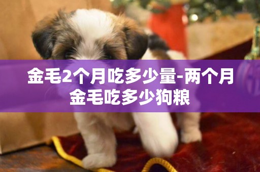 金毛2個月吃多少量-兩個月金毛吃多少狗糧