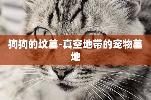 狗狗的墳墓-真空地帶的寵物墓地