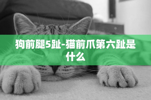 狗前腿5趾-貓前爪第六趾是什么