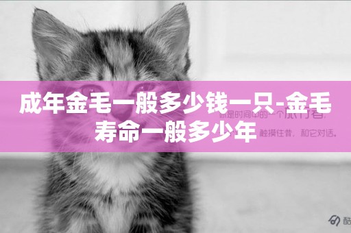 成年金毛一般多少錢一只-金毛壽命一般多少年