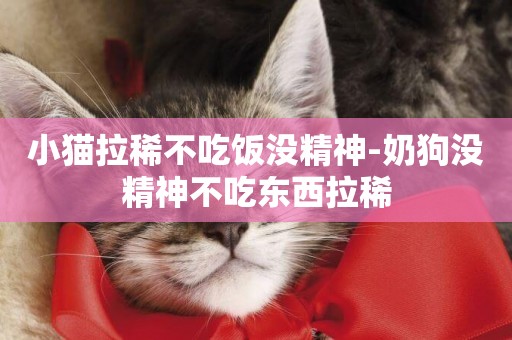小貓拉稀不吃飯沒精神-奶狗沒精神不吃東西拉稀
