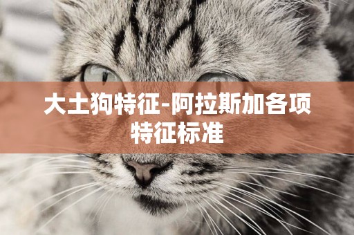 大土狗特征-阿拉斯加各項特征標準