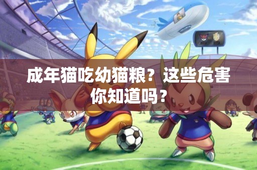 成年貓吃幼貓糧？這些危害你知道嗎？