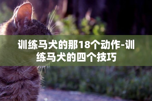 訓練馬犬的那18個動作-訓練馬犬的四個技巧