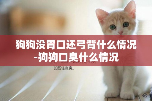 狗狗沒胃口還弓背什么情況-狗狗口臭什么情況