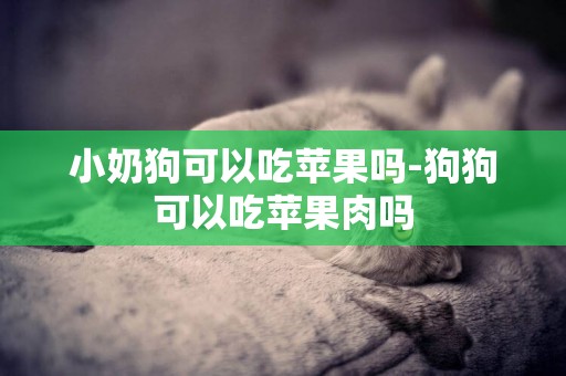 小奶狗可以吃蘋果嗎-狗狗可以吃蘋果肉嗎