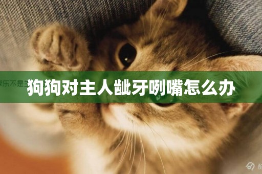 狗狗對主人齜牙咧嘴怎么辦