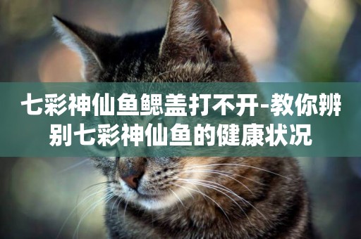 七彩神仙魚鰓蓋打不開-教你辨別七彩神仙魚的健康狀況