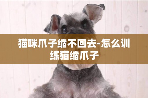 貓咪爪子縮不回去-怎么訓練貓縮爪子