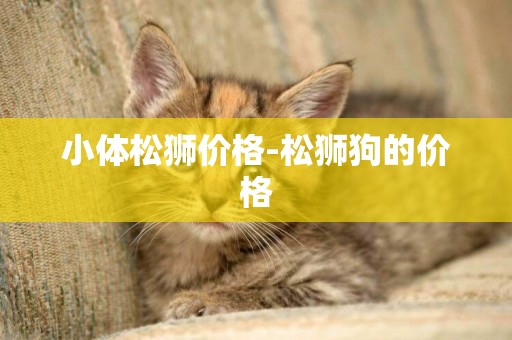 小體松獅價格-松獅狗的價格