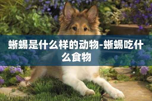 蜥蜴是什么樣的動物-蜥蜴吃什么食物