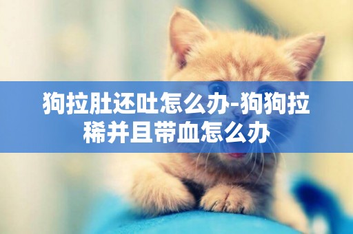 狗拉肚還吐怎么辦-狗狗拉稀并且帶血怎么辦