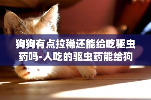 狗狗有點拉稀還能給吃驅蟲藥嗎-人吃的驅蟲藥能給狗吃嗎