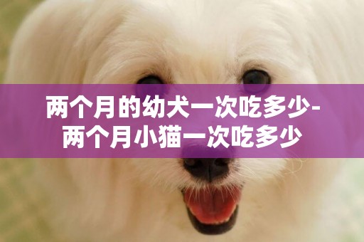 兩個月的幼犬一次吃多少-兩個月小貓一次吃多少