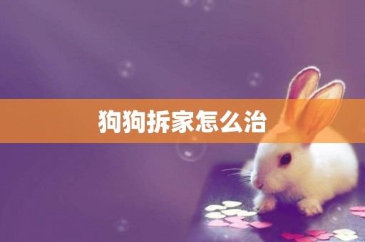 狗狗拆家怎么治