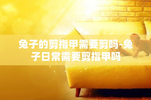 兔子的剪指甲需要剪嗎-兔子日常需要剪指甲嗎