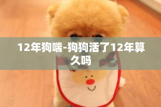 12年狗喘-狗狗活了12年算久嗎