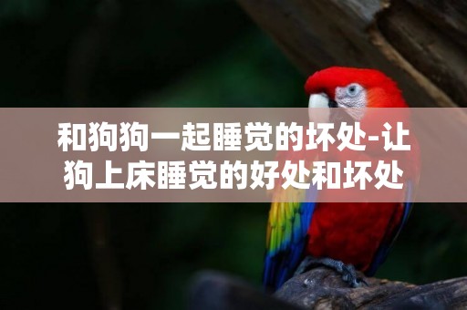 和狗狗一起睡覺的壞處-讓狗上床睡覺的好處和壞處