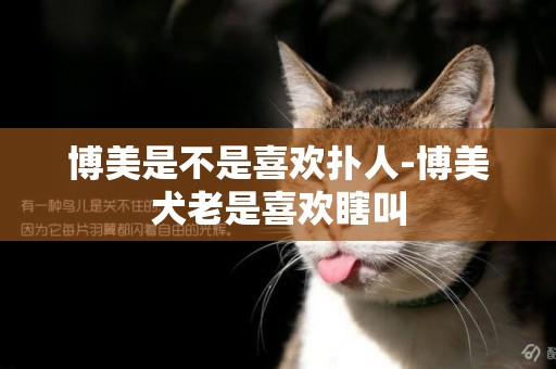 博美是不是喜歡撲人-博美犬老是喜歡瞎叫