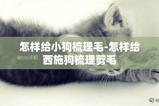 怎樣給小狗梳理毛-怎樣給西施狗梳理剪毛