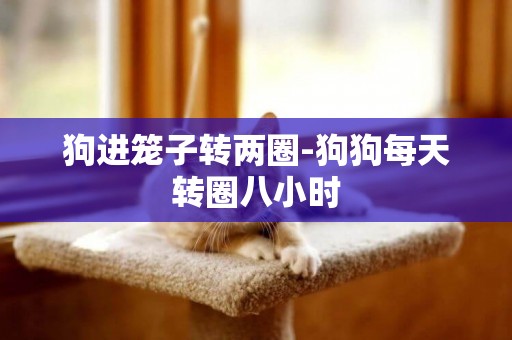 狗進籠子轉兩圈-狗狗每天轉圈八小時