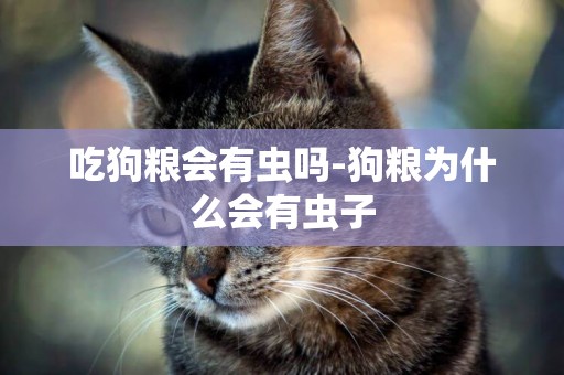 吃狗糧會有蟲嗎-狗糧為什么會有蟲子