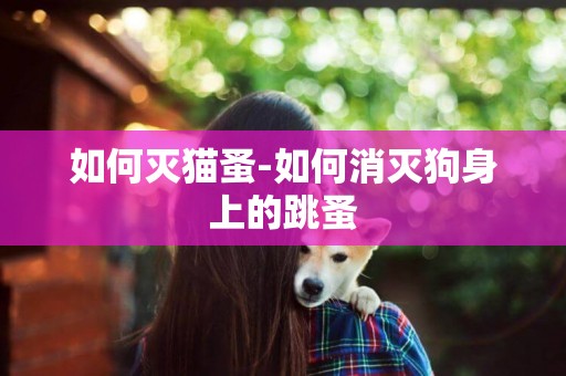 如何滅貓蚤-如何消滅狗身上的跳蚤