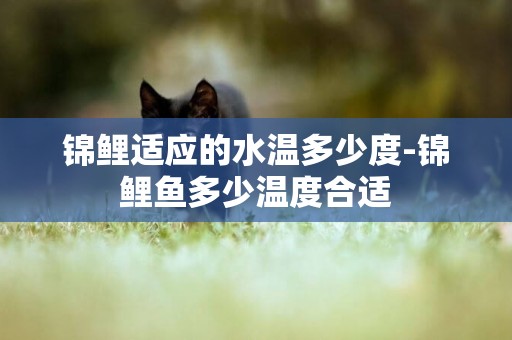 錦鯉適應的水溫多少度-錦鯉魚多少溫度合適